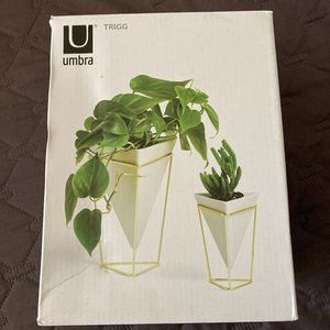 Umbra Trigg Tabletop Vessel Set of 2 NWT